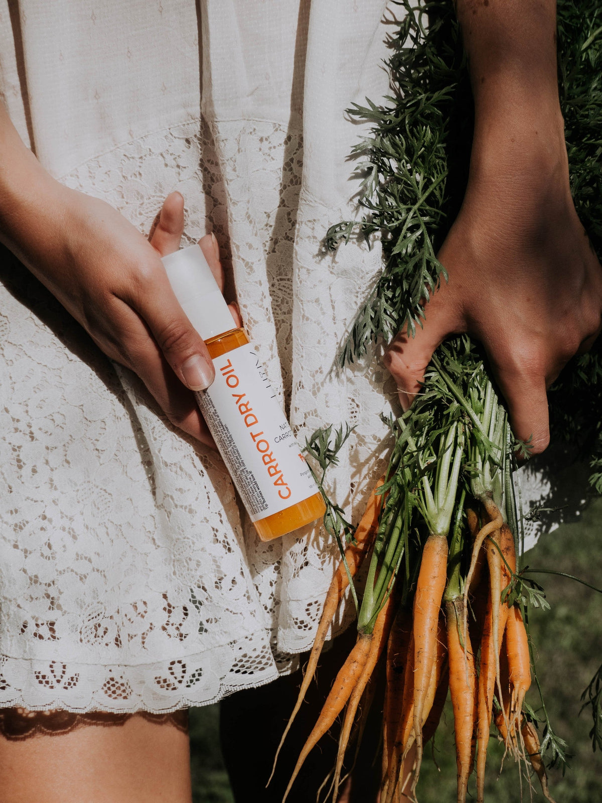 Torrolja med aloe vera – Carrot Dry Oil